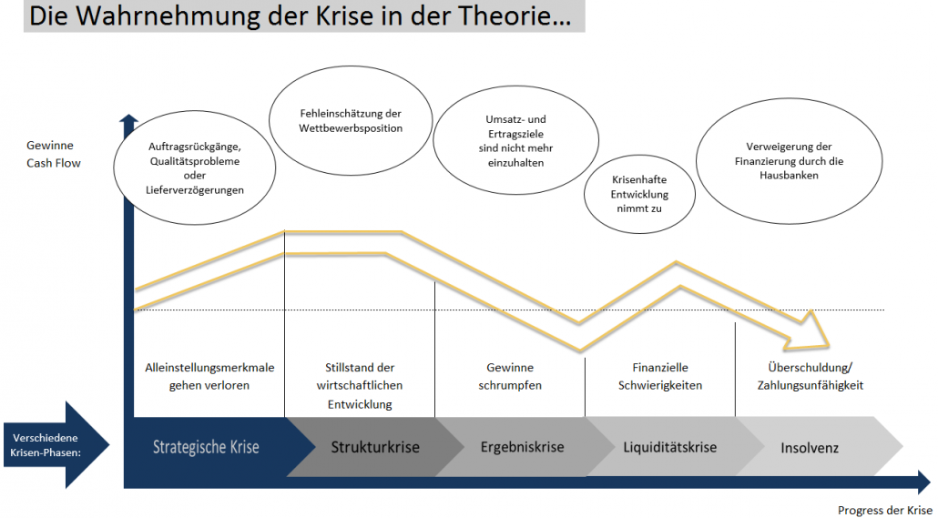 Unternehmenskrise - Theorie und Praxis