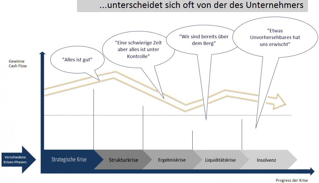 Unternehmenskrise - Theorie und Praxis