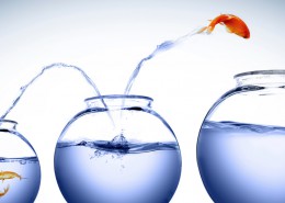 Goldfisch springt mutig in größeres Glas - Metapher für strategisches Wachstum und Unternehmensplanung