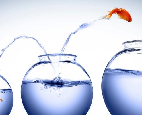 Goldfisch springt mutig in größeres Glas - Metapher für strategisches Wachstum und Unternehmensplanung