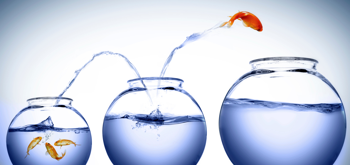 Goldfisch springt mutig in größeres Glas - Metapher für strategisches Wachstum und Unternehmensplanung